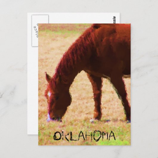 Grazing Briefkaart (Voorkant / Achterkant)