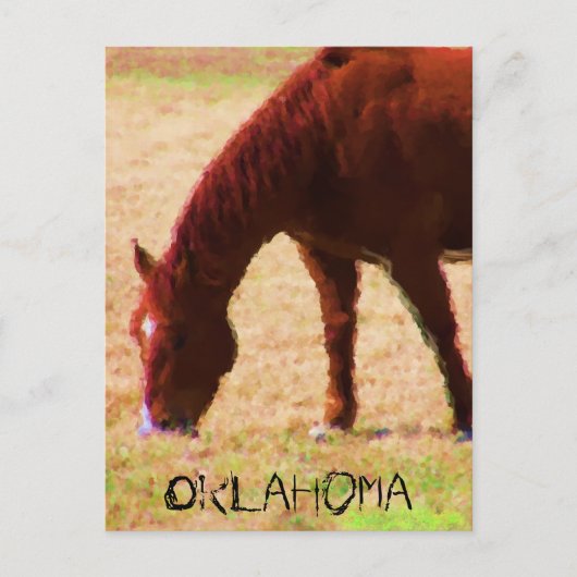 Grazing Briefkaart (Voorkant)