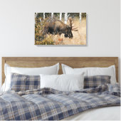 Grazing Bull Moose Canvas Afdruk (Insitu (Slaapkamer))