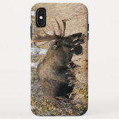 Grazing Bull Moose Case-Mate iPhone Case (Achterkant)