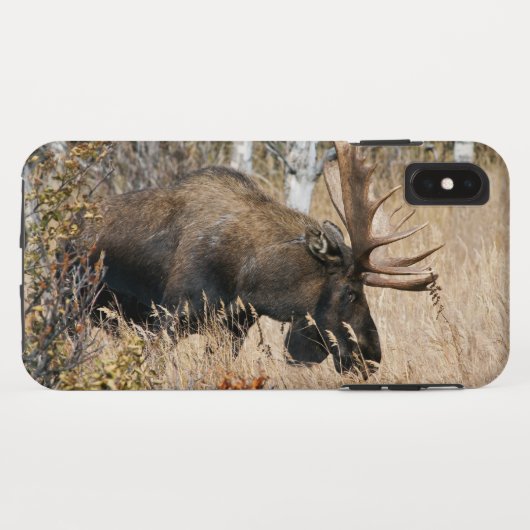 Grazing Bull Moose Case-Mate iPhone Case (Achterkant (horizontaal))