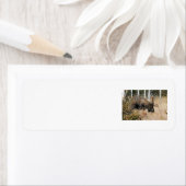 Grazing Bull Moose Etiket (Insitu)