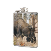 Grazing Bull Moose Heupfles (Links)