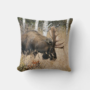 Grazing Bull Moose Kussen