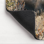 Grazing Bull Moose Muismat (Hoek)