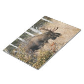 Grazing Bull Moose Notitieblok (Schuin)