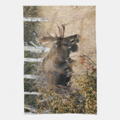 Grazing Bull Moose Theedoek (Verticaal)