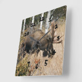 Grazing Bull Moose Vierkante Klok (Hoek)
