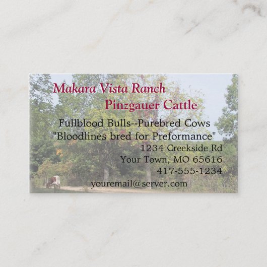 Grazing Cow Biz Card2-pas aan Visitekaartje (Voorkant)