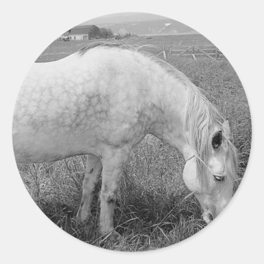 Grazing Dapped Gray Ronde Sticker (Voorkant)