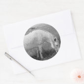 Grazing Dapped Gray Ronde Sticker (Envelop)