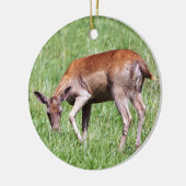 Grazing Deer Keramisch Ornament (Links)