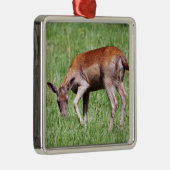 Grazing Deer Metalen Ornament (Rechts)