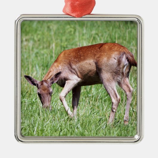 Grazing Deer Metalen Ornament (Voorkant)