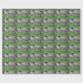 Grazing Donkey Cadeaupapier (Vlak)