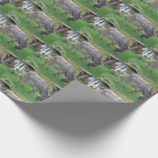 Grazing Donkey Cadeaupapier (Hoek)