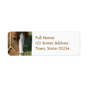 Grazing Draft Horse Return Adress Mailing Label