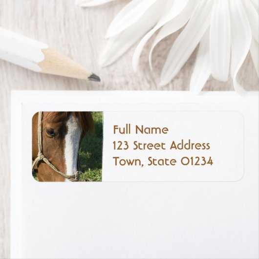 Grazing Draft Paard retour adres Mailing Label (Insitu)