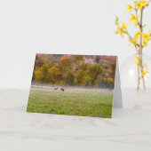 Grazing Elk Couple Wenskaart Kaart (Gele Bloem)