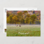 Grazing Elk Paar Dank u Briefkaart (Voorkant / Achterkant)
