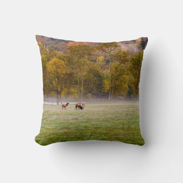 Grazing Elk Paar Foto Kussen (Voorkant)