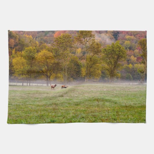 Grazing Elk paar keukenhanddoek (Horizontaal)