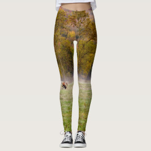 Grazing Elk Paar Leggings