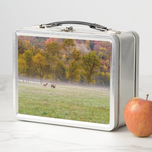 Grazing Elk Paar Lunchbox (In situ)