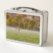 Grazing Elk Paar Lunchbox (Voorkant)