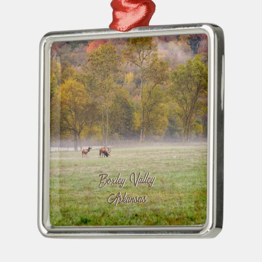 Grazing Elk Paar Premium Vierkant Ornament (Links)