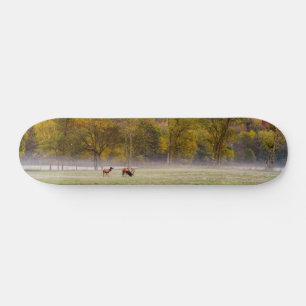 Grazing Elk Paar Skateboard