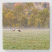 Grazing Elk Paar Steen Onderzetter (Voorkant)