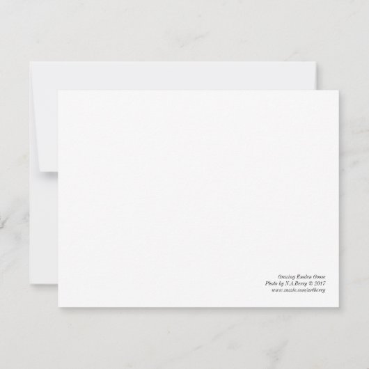 Grazing Emden Goose Kaart (Achterkant)