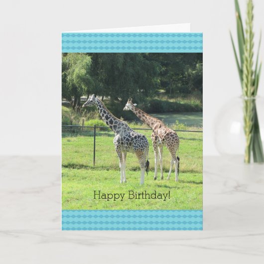 Grazing Giraffes Birthday Greetings Kaart (Voorkant)