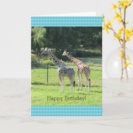 Grazing Giraffes Birthday Greetings Kaart (Gele Bloem)