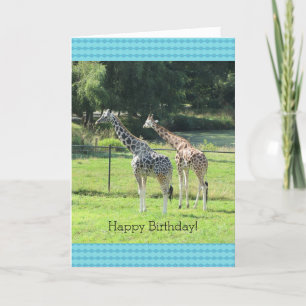 Grazing Giraffes Birthday Greetings Kaart