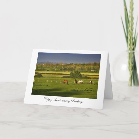 Grazing Horses / Ponies - Gefeliciteerd met jullie Kaart (Voorkant)
