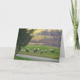 Grazing in Autumn Greeting Card Kaart