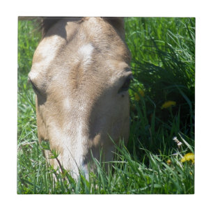 Grazing in gras tegeltje