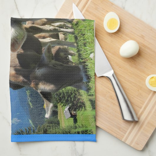 Grazing Koe Handdoek (Quarter Fold)