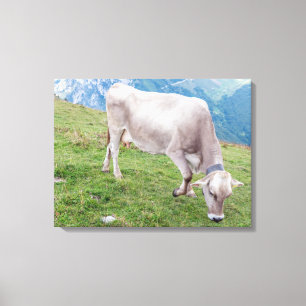Grazing koe uitzicht canvas print