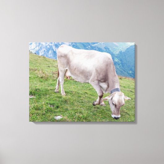Grazing koe uitzicht canvas print (Voorkant)