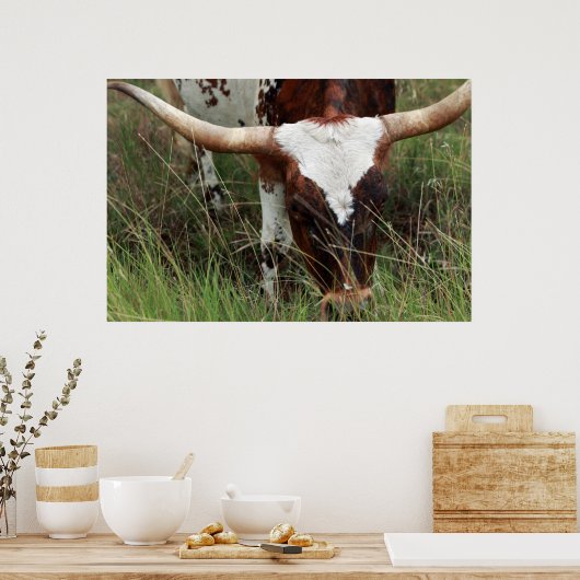 Grazing Longhorn Poster (Keuken)