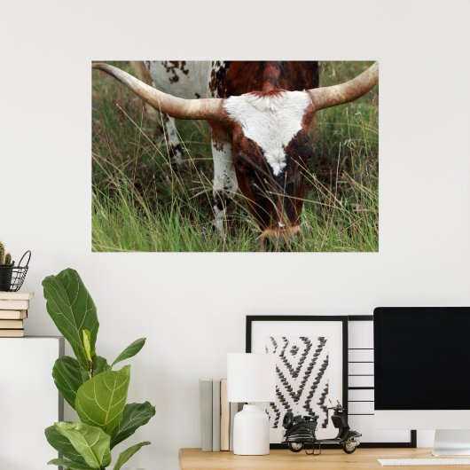 Grazing Longhorn Poster (Thuiskantoor)