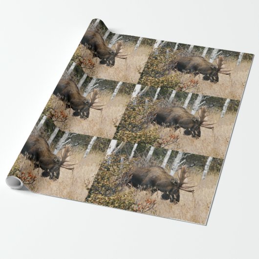 Grazing Moose Cadeaupapier (Uitgerold)