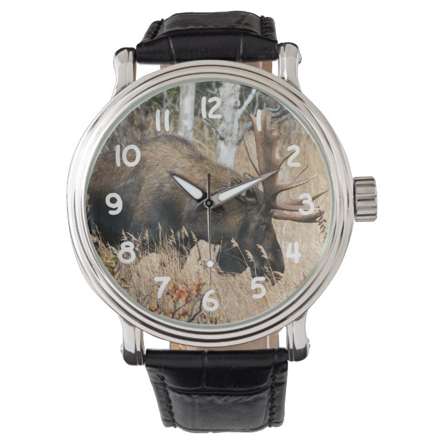 Grazing Moose Horloge (Voorkant)