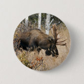 Grazing Moose Ronde Button 5,7 Cm (Voorkant)