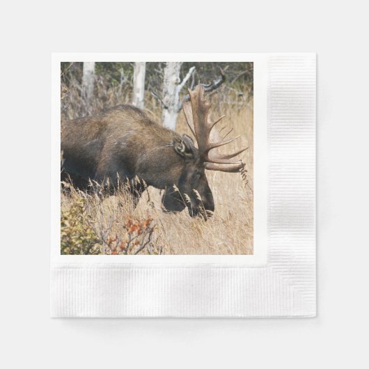 Grazing Moose Servet (Voorkant)