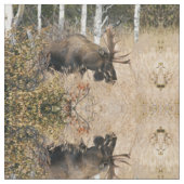 Grazing Moose Stof (Close Up)