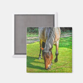 Grazing New Forest Pony Wildlife Magneet (Voorkant / Achterkant)
